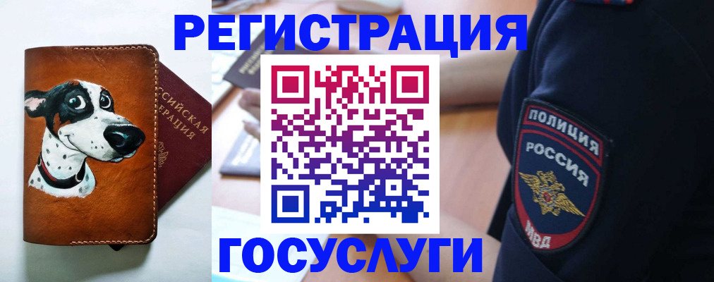временная регистрация в квартире в Вилючинске